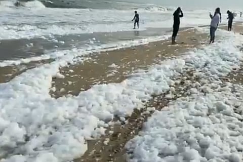 The Marina shoreline witnessed frothing on Sunday afternoon