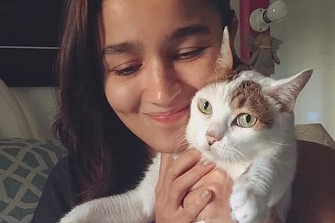 Alia Bhatt mourns the loss of pet cat Sheeba