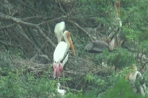 Source: ANI; Visuals from Kanpur Zoo