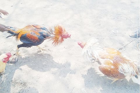 Representative Image