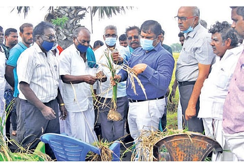 Team lead by Velayudham, Joint Director (State Projects) conducting an assessment in Nagai