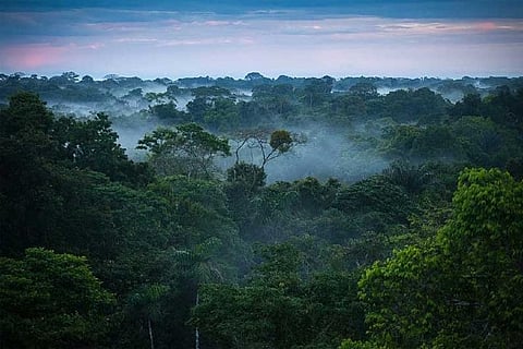 Brazil to end military-led programme against Amazon logging