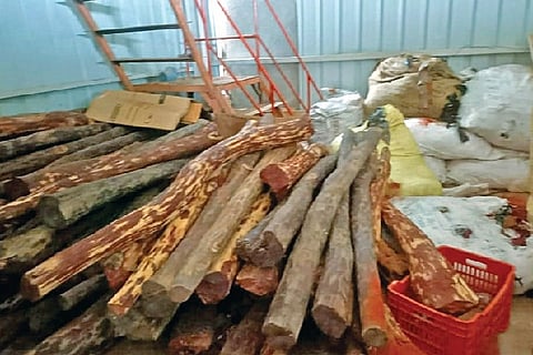 The red sanders recovered by the police