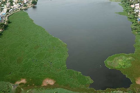 Representative Image