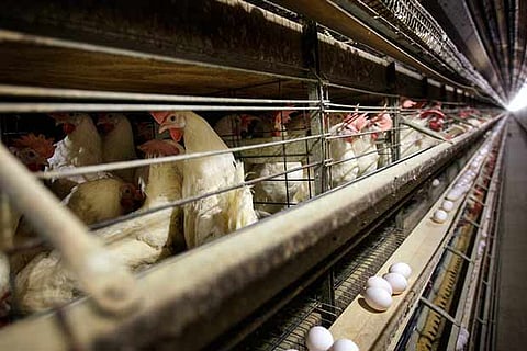 Representative Image