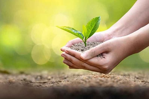 Representative Image