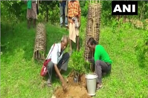 Odisha: 72-year-old Tree Teacher plants more than 30,000 trees over 60 years