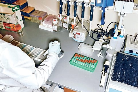 Hunting for cures before the next pandemic hits