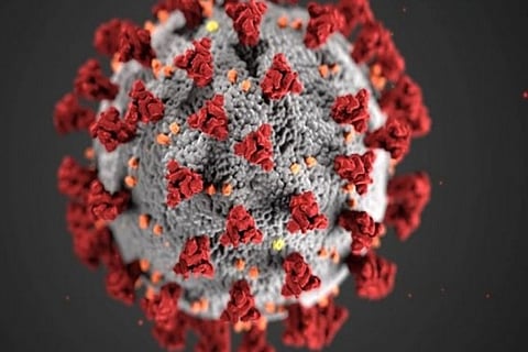 Representative Image (ANI)