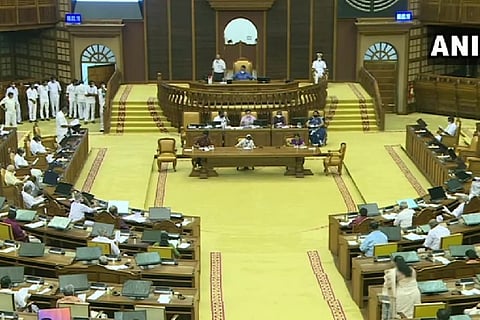 Representative Image (ANI)