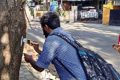 Residents engage in Nizhal’s tree mapping project