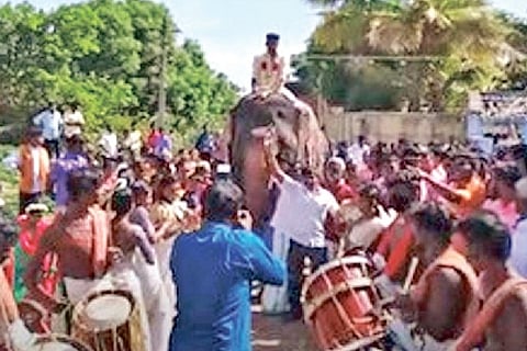 The groom being taken in a procession on an elephant near Alangulam in Tenkasi on Sunday