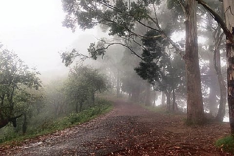 Fog in Kodaikanal after the rain on Tuesday