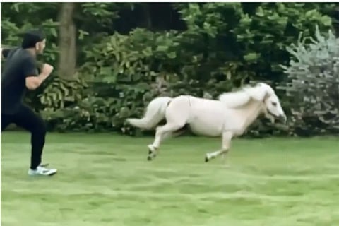 Source: Twitter; A clip from the video