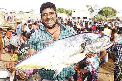A fisherman flaunts his catch at Kasimedu harbour on Sunday