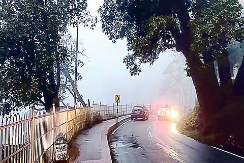 Checking of Aadhaar cards of Kodaikanal-bound passengers creates confusion