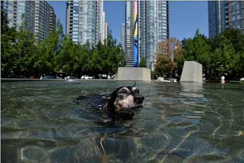 Image source: Reuters