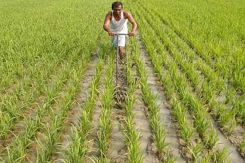 Representative image.