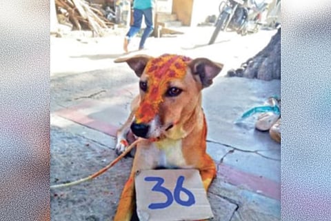 One of the participants