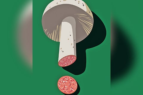 Making a case for plant-based meat in diets