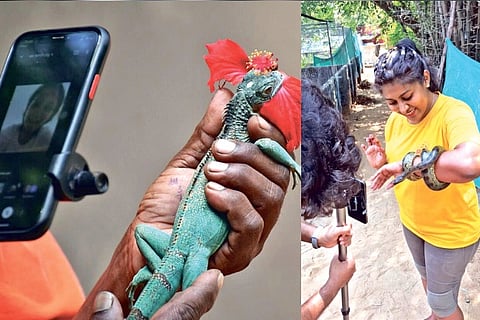 Virtual workshop, Steffi at a virtual workshop