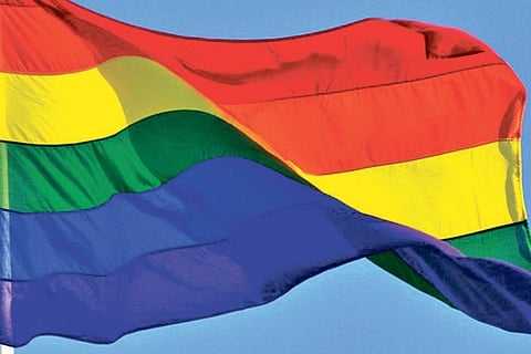 ‘Youngsters of LGBTQ community face domestic abuse’