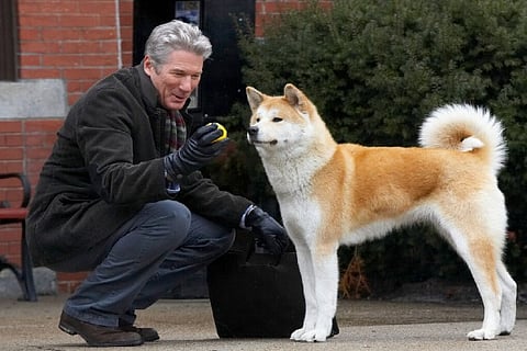 A still from Hachi: A Dog?s Tale