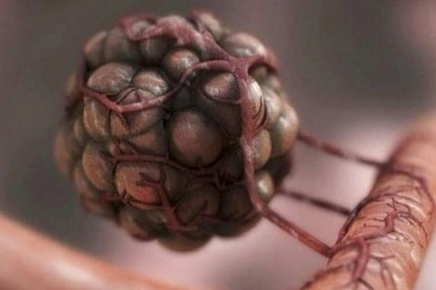 Image courtesy: IANS