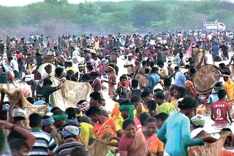 Villagers in large numbers fishing at Periya Kanmoi in Thiruvathavur near Melur in Madurai