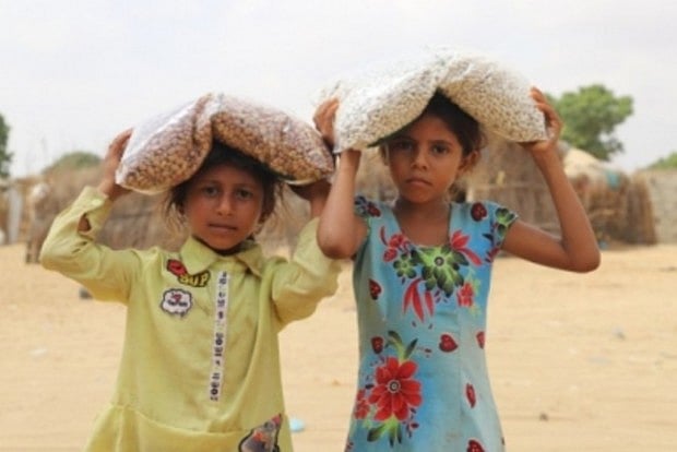 Acute food insecurity globally at 5-yr high: UN agencies