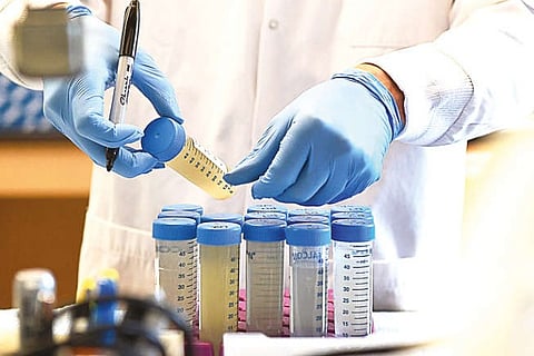 Belly of the Beast: Sifting through waste water for clues to COVID