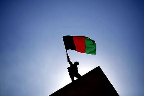 Representative Image (ANI)