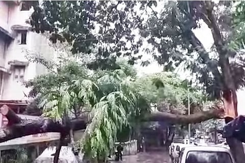 Cyclone Tauktae storms over Mumbai, razes trees, damages homes
