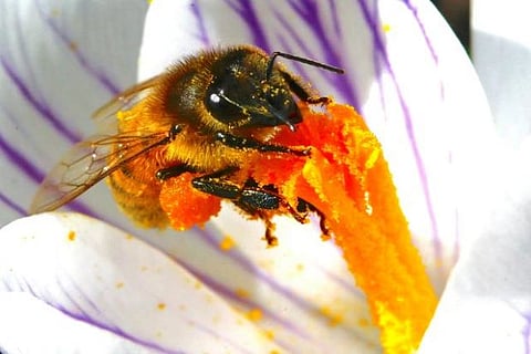 Image source: Reuters