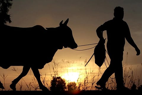 Image source: Reuters