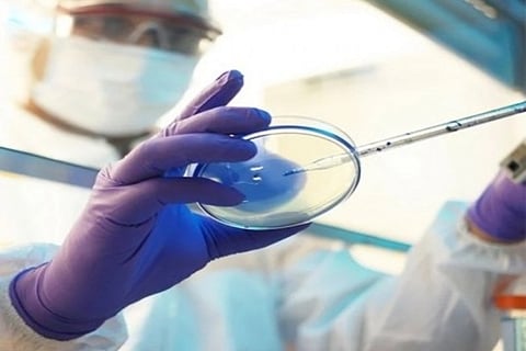 Corona's evil cousin 'Black Fungus' claims 100 in Maha: Tope