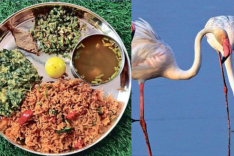 A meal prepared by Shanthi Ramachandran, photograph of flamingo from Sholinganallur marshland