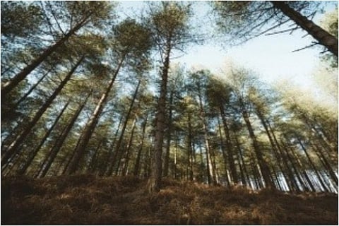 Image courtesy: IANS