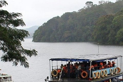 Representative image