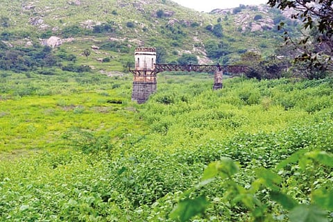 The bone dry Otteri tank covered in overgrown shrubs