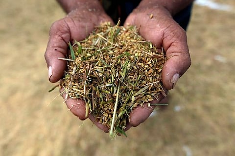 Representative image: Reuters