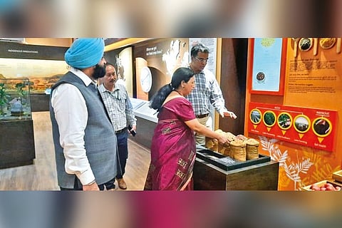 Officials at the newly-inaugurated museum on Monday