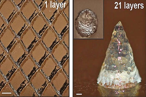 Flash Forward: This ink is alive and made entirely of microbes
