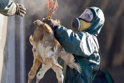 (Image Courtesy: Reuters)