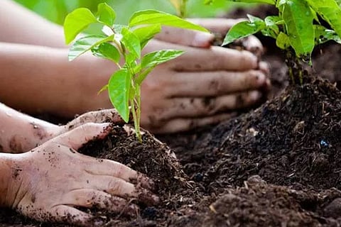 Representative Image