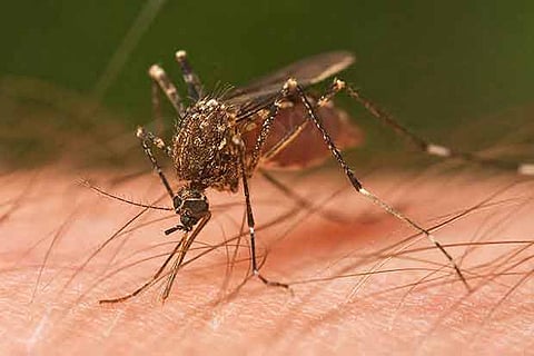 Representative Image