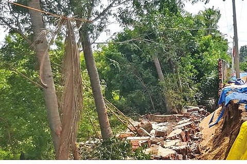 The collapsed wall and paddy damaged in the rainfall in Thanjavur on Tuesday