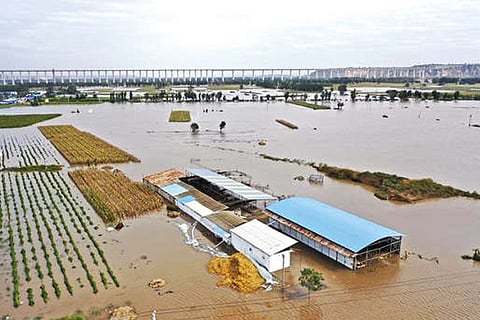 Overflowing Yellow River in northern China?s Shanxi Province