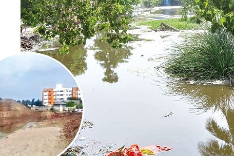 Algae, aquatic plants and garbage have occupied Vangaivasal and Velachery lake
