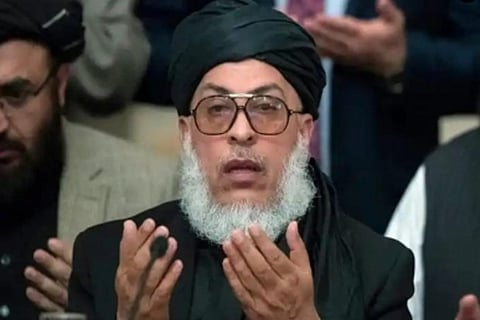 Sher Muhammad Abbas Stanikzai  (Source: IANS)